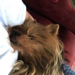 Meet your Posher, Cathy